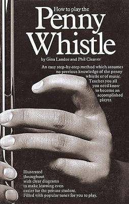 How To Play The Penny Whistle book