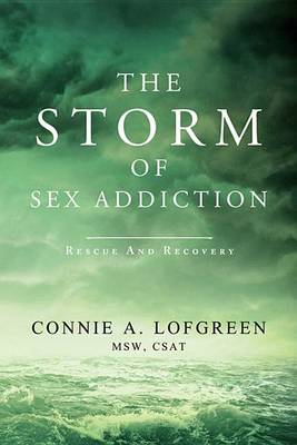 Storm of Sex Addiction book