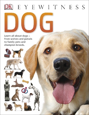 Dog book