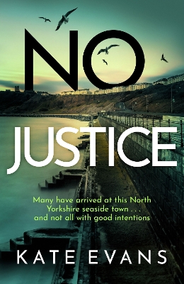 No Justice book