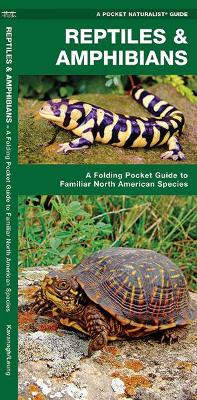 Reptiles & Amphibians: A Folding Pocket Guide to Familiar North American Species book