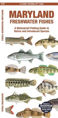 Maryland Freshwater Fishes: A Waterproof Folding Guide to Native and Introduced Species book