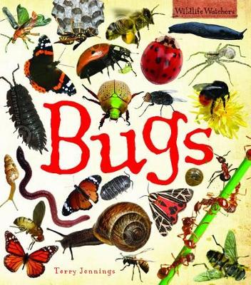 Bugs by Terry Jennigns