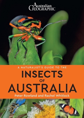 A Naturalist's Guide to the Insects of Australia by Peter Rowland