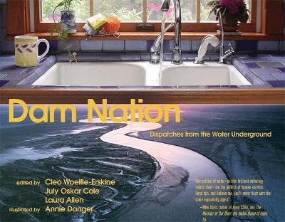 Dam Nation book