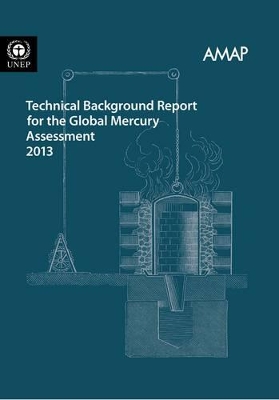 Technical background report for the global mercury assessment 2013 book