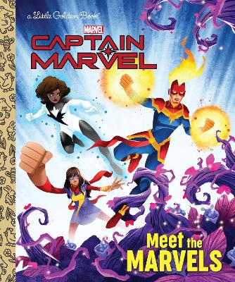 Meet the Marvels (Marvel) book