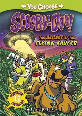 Secret of the Flying Saucer book