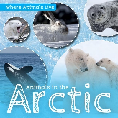 Animals in the Arctic book