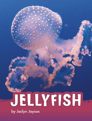 Jellyfish by Jaclyn Jaycox