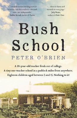 Bush School book