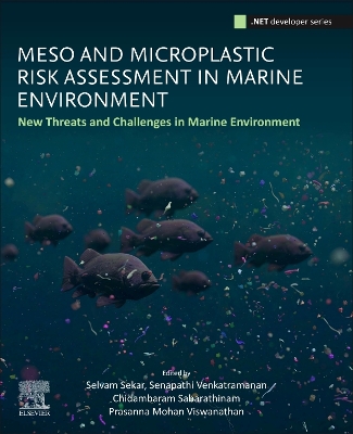 Meso and Microplastic Risk Assessment in Marine Environments: New Threats and Challenges book