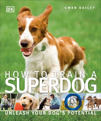 How To Train A Superdog book