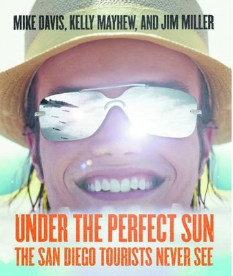 Under The Perfect Sun: The San Diego Tourists Never See book