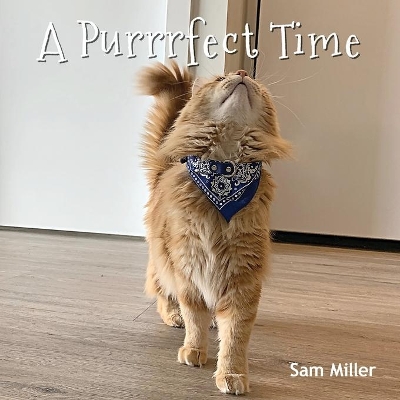 A Purrrfect Time book