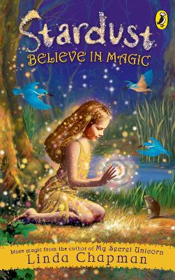 Stardust: Believe in Magic book