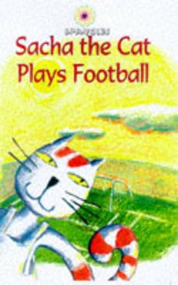 Football Socks book