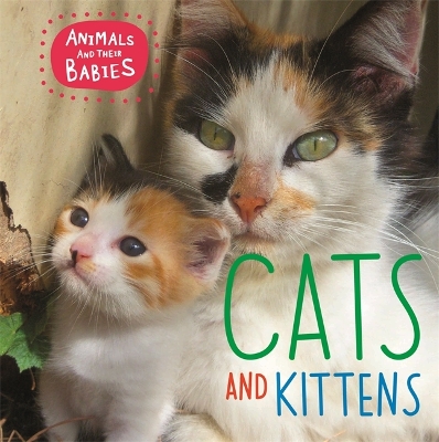 Animals and their Babies: Cats & kittens book