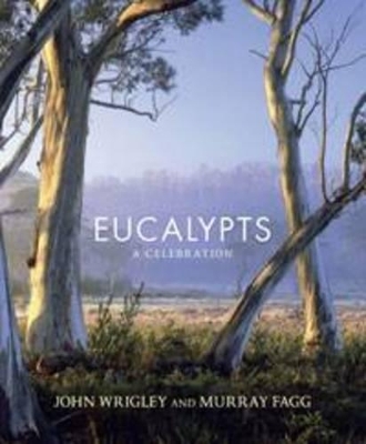 Eucalypts by John Wrigley