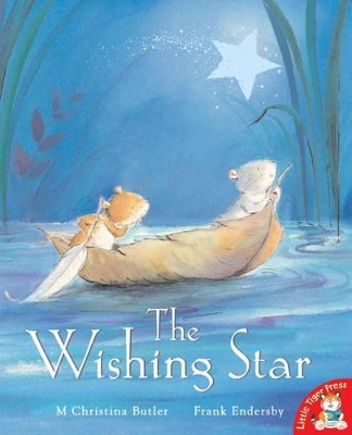 The Wishing Star book