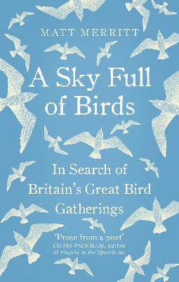Sky Full of Birds book