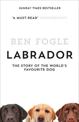 Labrador by Ben Fogle