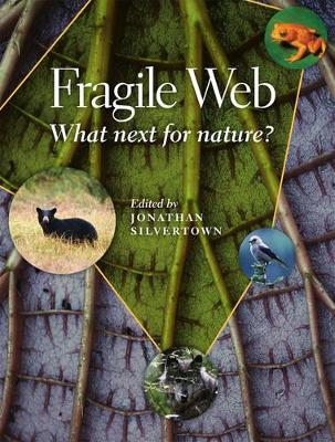 Fragile Web book