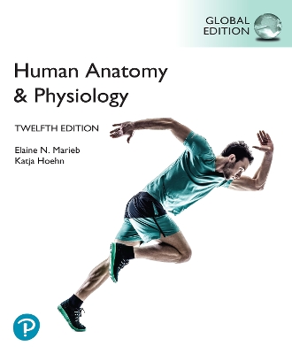 Human Anatomy & Physiology, Global Edition, (HB) book