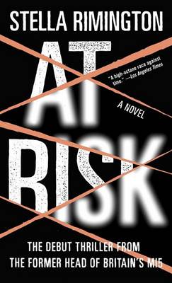 At Risk by Stella Rimington