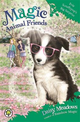 Magic Animal Friends: Evie Scruffypup's Big Surprise book