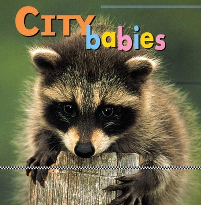 City Babies book