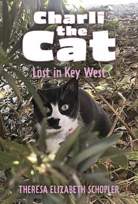 Charli the Cat, Lost in Key West book