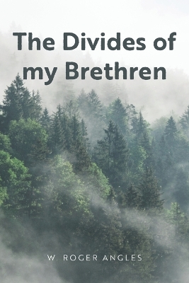 The Divides of my Brethren book