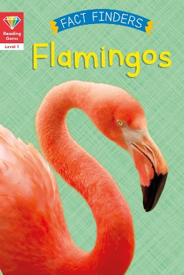 Reading Gems Fact Finders: Flamingos (Level 1) book