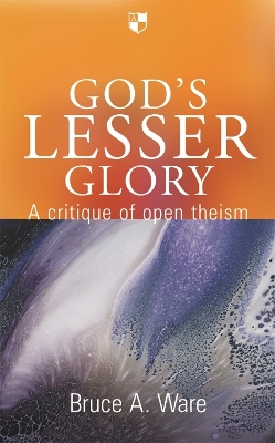 God's Lesser Glory book