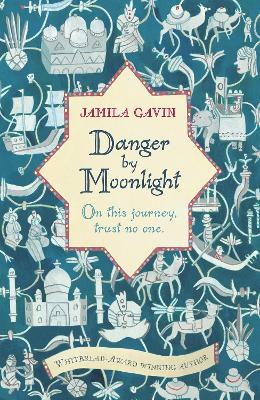 Danger by Moonlight book