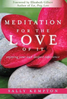 Meditation for the Love of it book