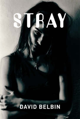 Stray book