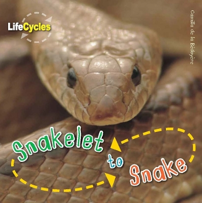 Life Cycles: Snakelet to Snake by Camilla de le Bédoyère