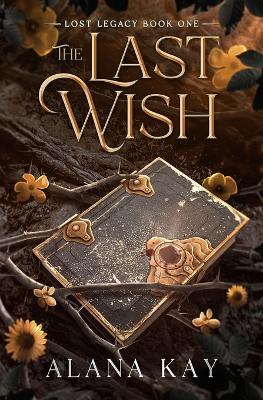 The Last Wish book
