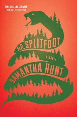 Mr. Splitfoot book