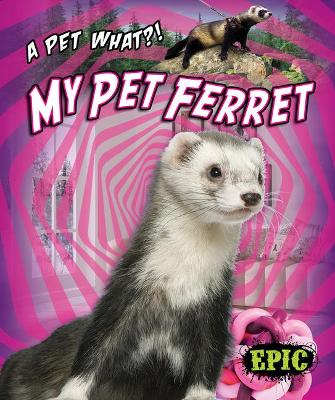 My Pet Ferret book