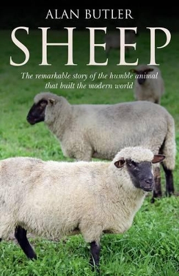 Sheep book