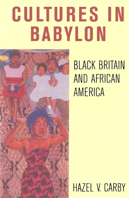Culture in Babylon book