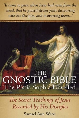 Gnostic Bible book