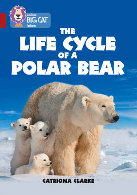 Life Cycle of a Polar Bear book