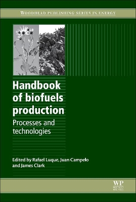 Handbook of Biofuels Production: Processes and Technologies by Rafael Luque