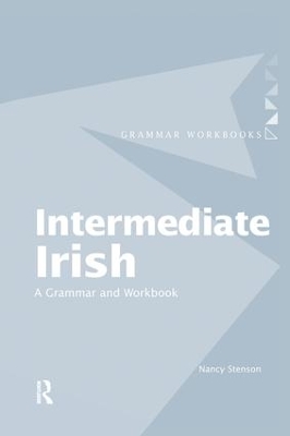 Intermediate Irish: A Grammar and Workbook book