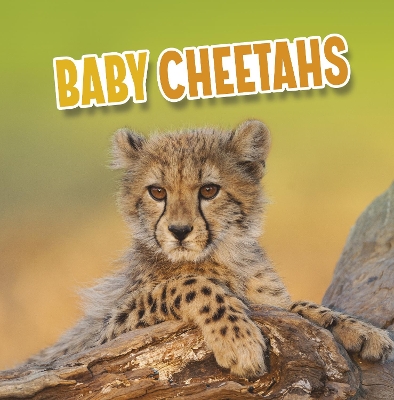 Baby Cheetahs by Martha E H Rustad