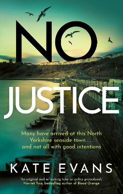 No Justice by Kate Evans